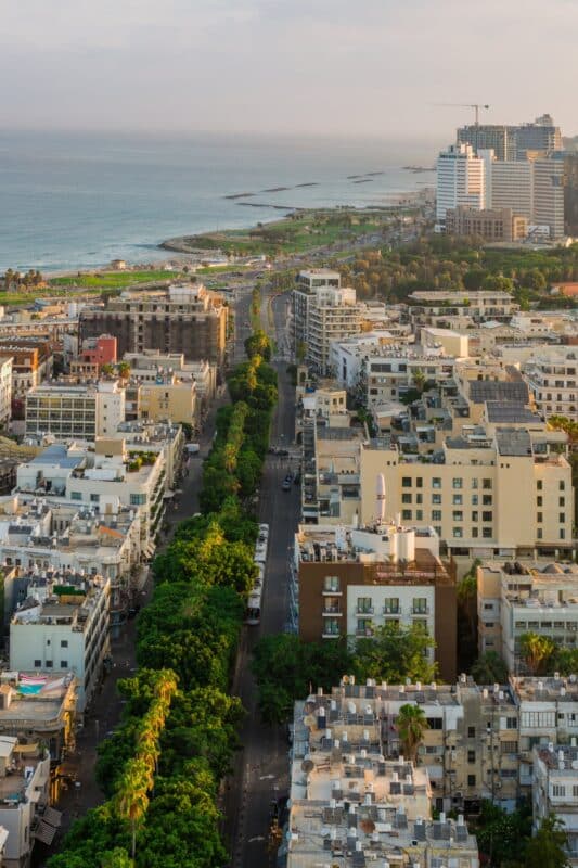 שדרה מוצלת בעצים בדרך אל חוף הים התיכון, בין בניינים נמוכים וגינת חוף
